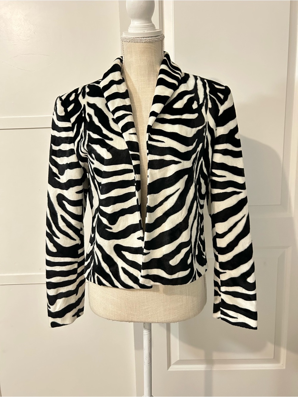Focus 2000 Zebra-Print Open Front Jacket - Black & White